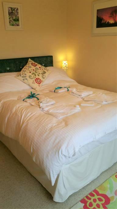 Saint Tudy Horsna Parc Retreat Bed & Breakfast エクステリア 写真