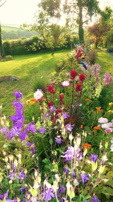 Saint Tudy Horsna Parc Retreat Bed & Breakfast エクステリア 写真