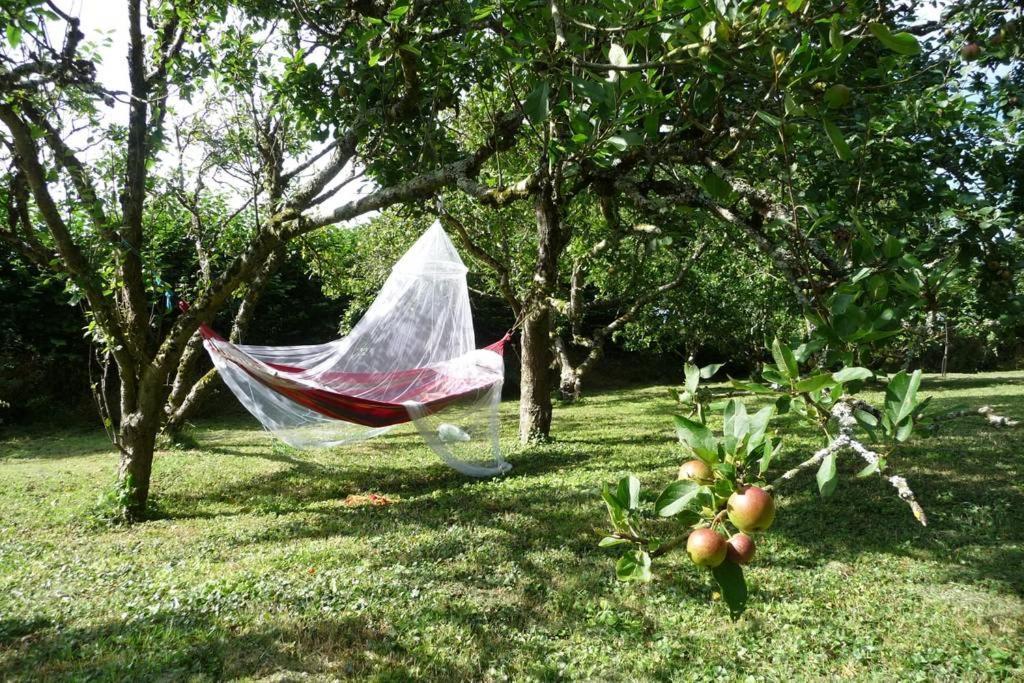 Saint Tudy Horsna Parc Retreat Bed & Breakfast エクステリア 写真