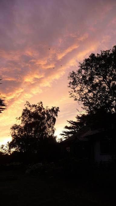 Saint Tudy Horsna Parc Retreat Bed & Breakfast エクステリア 写真