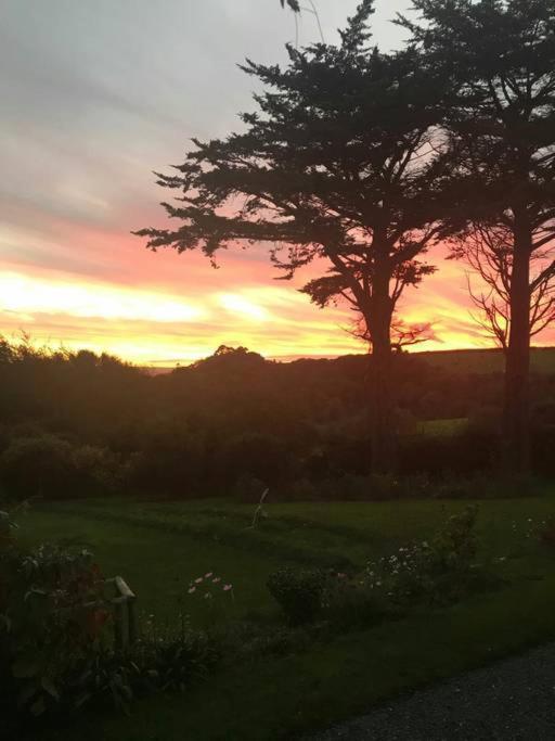 Saint Tudy Horsna Parc Retreat Bed & Breakfast エクステリア 写真