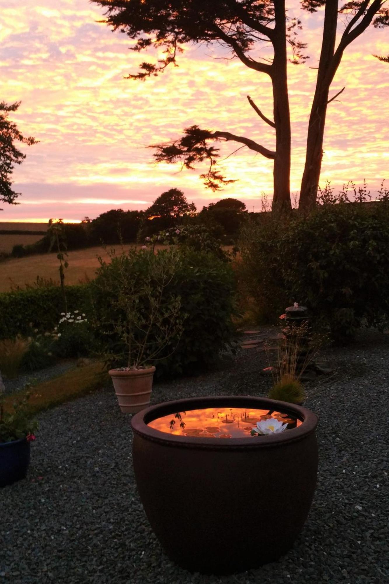 Saint Tudy Horsna Parc Retreat Bed & Breakfast エクステリア 写真