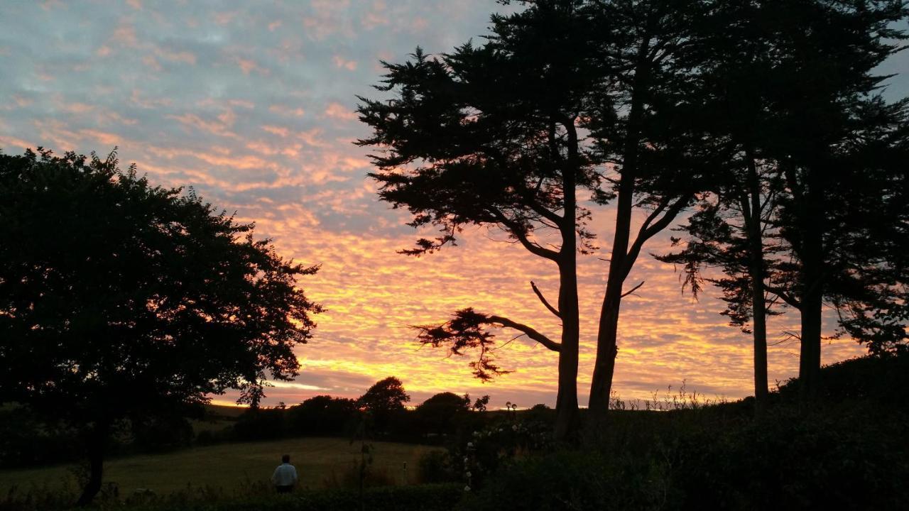 Saint Tudy Horsna Parc Retreat Bed & Breakfast エクステリア 写真